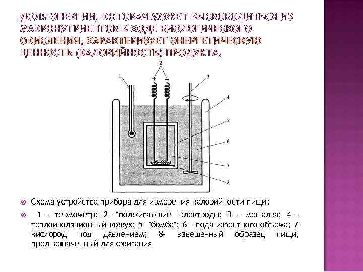   Схема устройства прибора для измерения калорийности пищи:  1 - термометр; 2