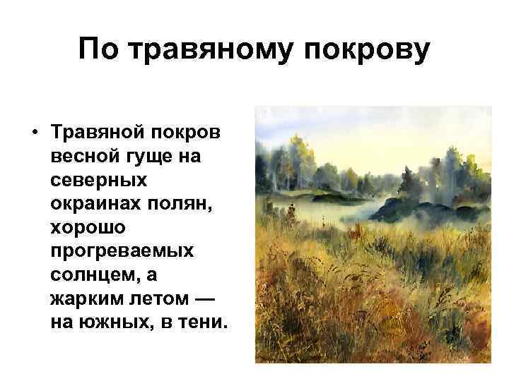   По травяному покрову  • Травяной покров  весной гуще на 