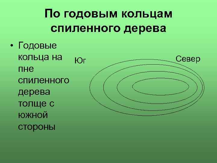  По годовым кольцам  спиленного дерева • Годовые  кольца на Юг 