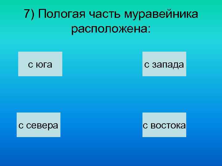 7) Пологая часть муравейника   расположена:  с юга   с запада