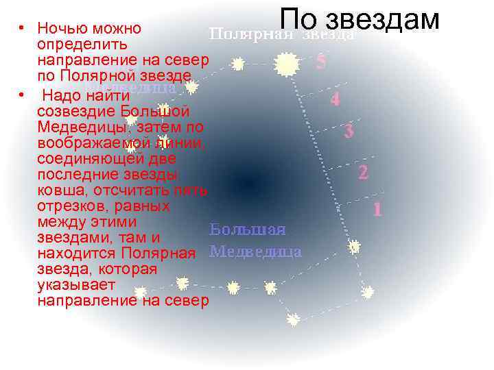  • Ночью можно   По звездам  определить  направление на север