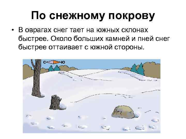  По снежному покрову • В оврагах снег тает на южных склонах  быстрее.