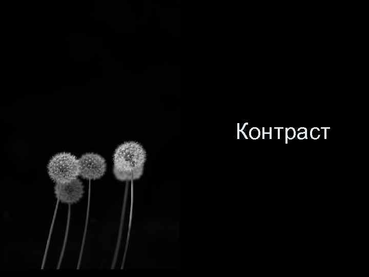 Контраст 