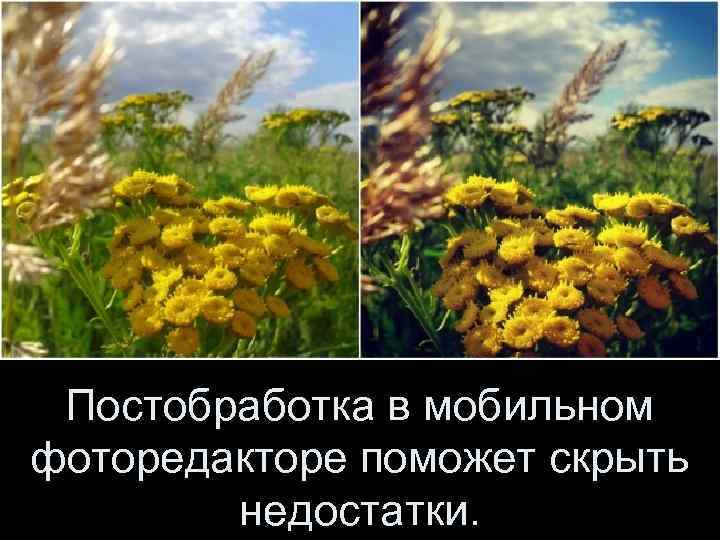  Постобработка в мобильном фоторедакторе поможет скрыть   недостатки. 