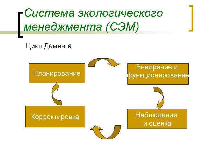 Система экологического менеджмента (СЭМ) Цикл Деминга     Внедрение и Планирование 