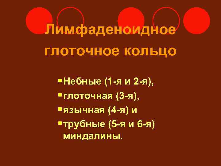 Лимфаденоидное глоточное кольцо § Небные (1 -я и 2 -я),  § глоточная (3