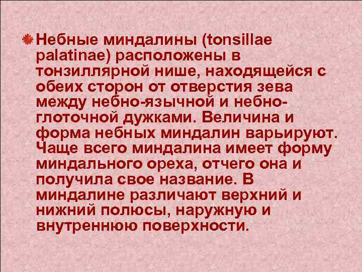 Небные миндалины (tonsillae palatinae) расположены в тонзиллярной нише, находящейся с обеих сторон от отверстия