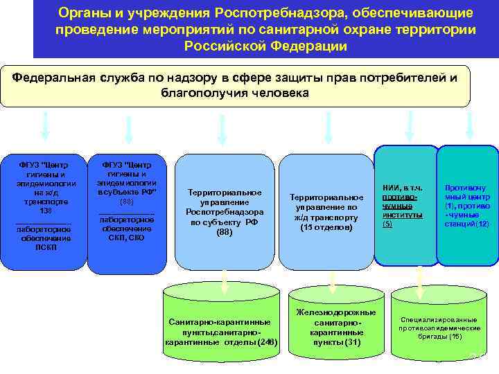 Органы муниципального учреждения. Органы и учреждения Роспотребнадзора. Направления деятельности Роспотребнадзора. Структура органов Роспотребнадзора. Мероприятия по санитарной охране территории РФ.