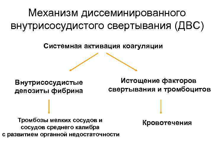  Механизм диссеминированного  внутрисосудистого свертывания (ДВС)   Системная активация коагуляции  Внутрисосудистые