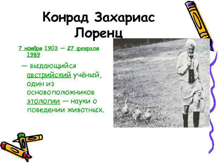   Конрад Захариас  Лоренц 7 ноября 1903 — 27 февраля  1989