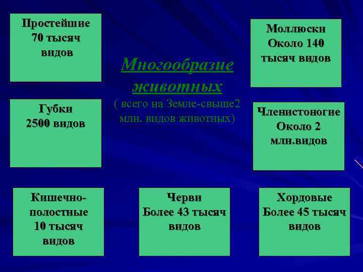 Простейшие     Моллюски 70 тысяч      Около