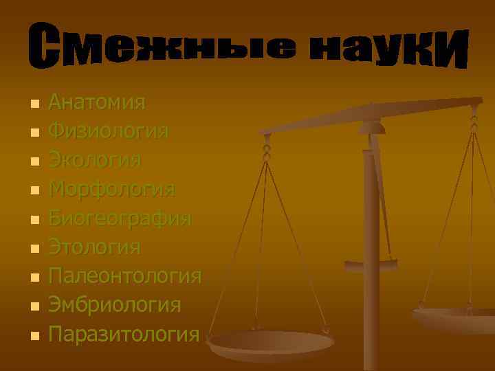 n  Анатомия n  Физиология n  Экология n  Морфология n 