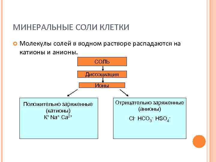 Какие минеральные соли входят состав живых организмов