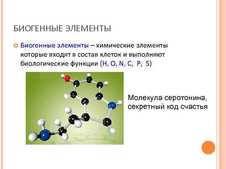 Единство химического строения. Биогенные элементы.