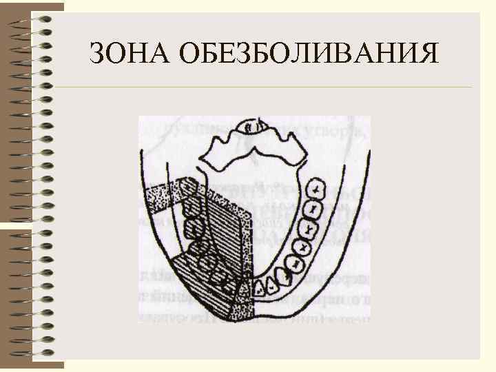 ЗОНА ОБЕЗБОЛИВАНИЯ 