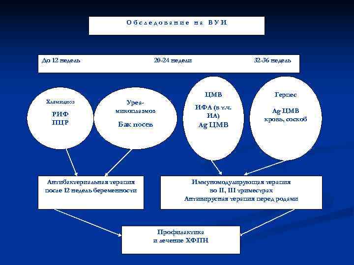      Обследование на ВУИ До 12 недель   