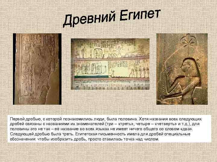 Первой дробью, с которой познакомились люди, была половина. Хотя названия всех следующих дробей связаны