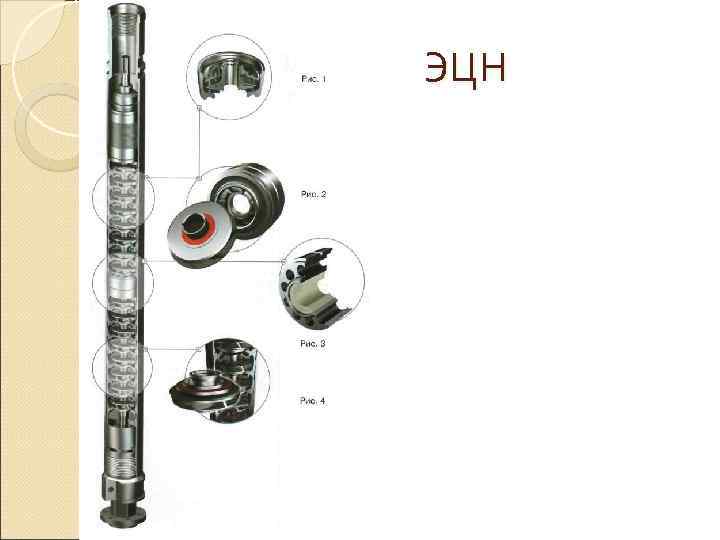 ЭЦН 