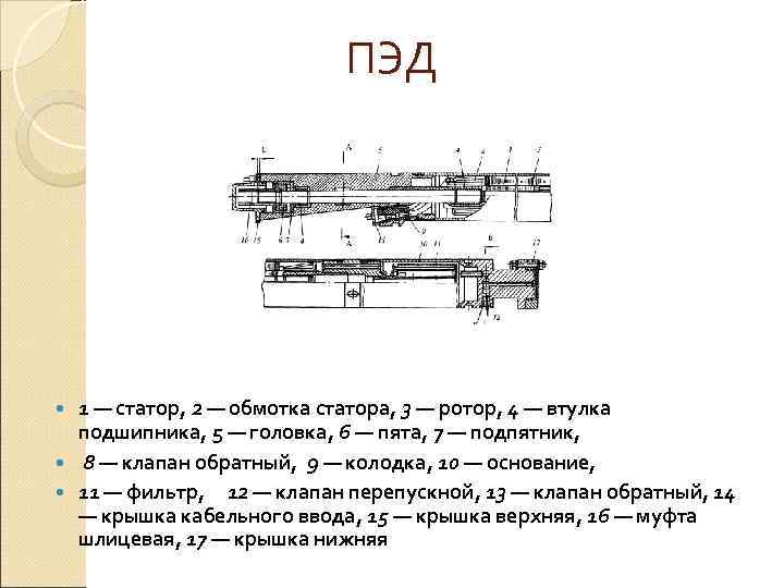       ПЭД  1 — статор, 2 — обмотка