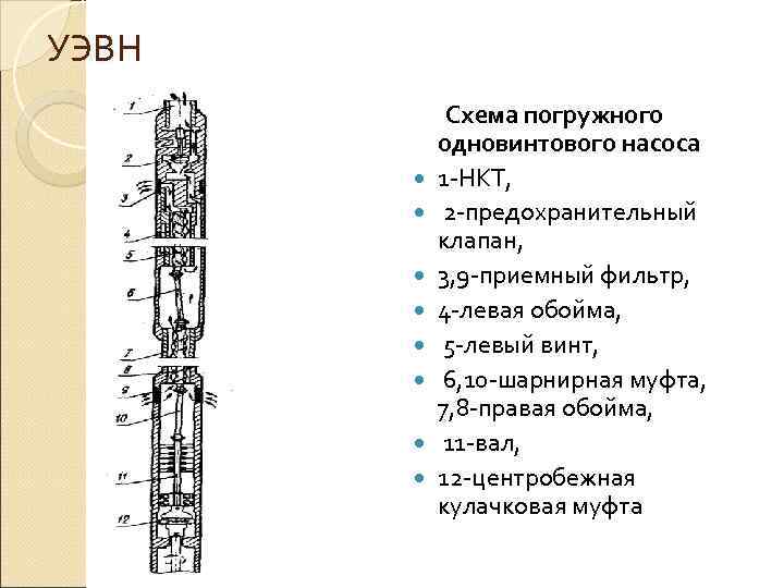 УЭВН   Схема погружного  одновинтового насоса  1 НКТ,   2