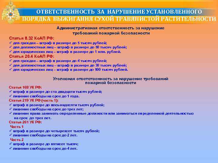    ОТВЕТСТВЕННОСТЬ ЗА НАРУШЕНИЕ УСТАНОВЛЕННОГО  ПОРЯДКА ВЫЖИГАНИЯ СУХОЙ ТРАВЯНИСТОЙ РАСТИТЕЛЬНОСТИ 