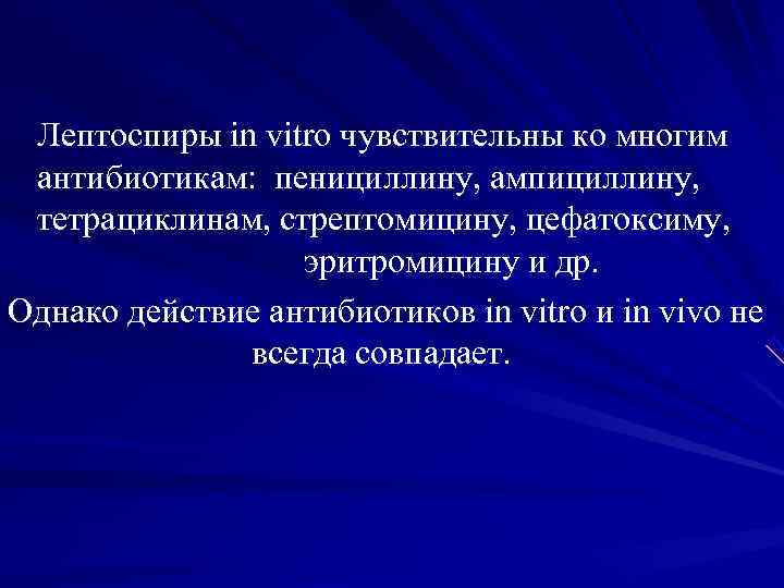 Лептоспиры in vitro чувствительны ко многим антибиотикам: пенициллину, ампициллину, тетрациклинам, Лептоспиры in vitro чувствительны ко многим антибиотикам: пенициллину, ампициллину, тетрациклинам,