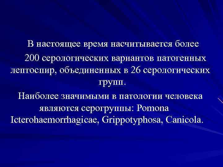 В настоящее время насчитывается более 200 серологических вариантов патогенных лептоспир, объединенных в 26 В настоящее время насчитывается более 200 серологических вариантов патогенных лептоспир, объединенных в 26