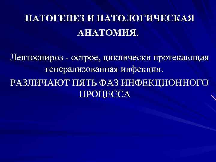 ПАТОГЕНЕЗ И ПАТОЛОГИЧЕСКАЯ АНАТОМИЯ. Лептоспироз - острое, циклически протекающая ПАТОГЕНЕЗ И ПАТОЛОГИЧЕСКАЯ АНАТОМИЯ. Лептоспироз - острое, циклически протекающая