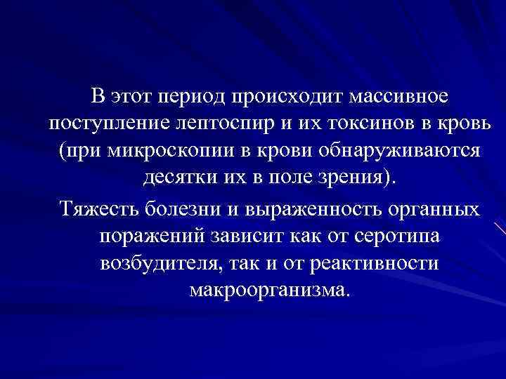В этот период происходит массивное поступление лептоспир и их токсинов в В этот период происходит массивное поступление лептоспир и их токсинов в