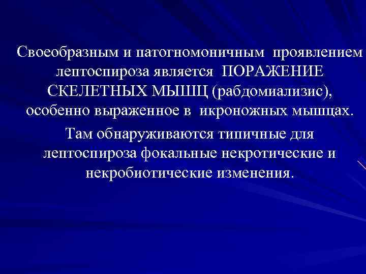 Своеобразным и патогномоничным проявлением лептоспироза является ПОРАЖЕНИЕ СКЕЛЕТНЫХ МЫШЦ (рабдомиализис), особенно выраженное Своеобразным и патогномоничным проявлением лептоспироза является ПОРАЖЕНИЕ СКЕЛЕТНЫХ МЫШЦ (рабдомиализис), особенно выраженное