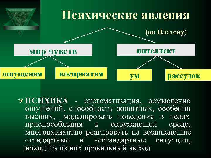 Психические явления картинки