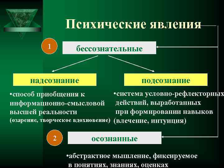 Психические явления. Неосознаваемые психические явления. Сознательные психические явления. Осознаваемые психические процессы.