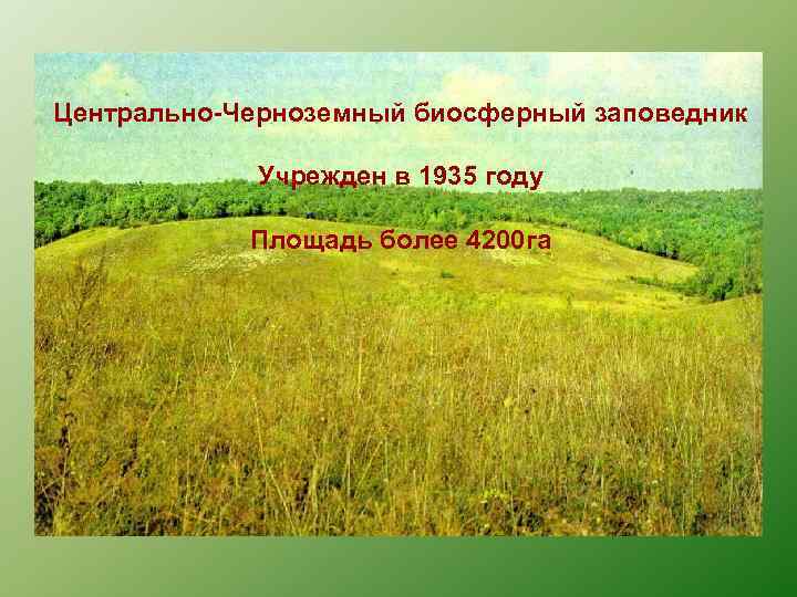 Центрально-Черноземный биосферный заповедник   Учрежден в 1935 году   Площадь более 4200