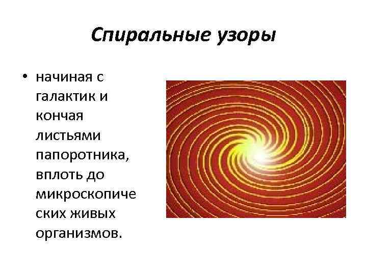  Спиральные узоры • начиная с  галактик и  кончая  листьями