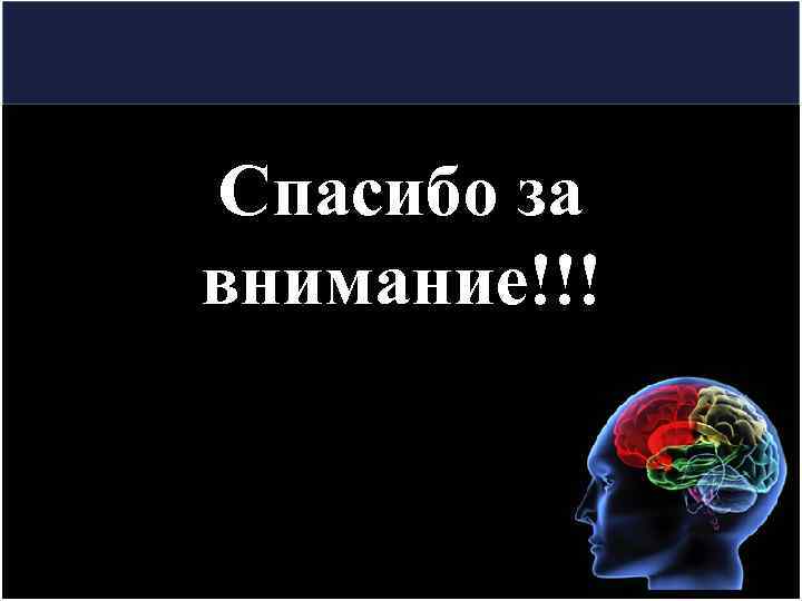 Спасибо за внимание!!! 
