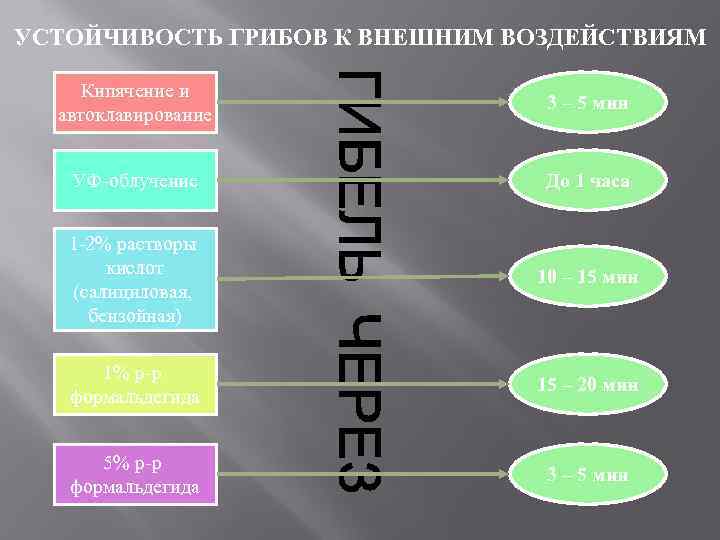 УСТОЙЧИВОСТЬ ГРИБОВ К ВНЕШНИМ ВОЗДЕЙСТВИЯМ  Кипячение и      
