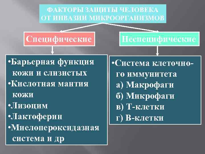   ФАКТОРЫ ЗАЩИТЫ ЧЕЛОВЕКА  ОТ ИНВАЗИИ МИКРООРГАНИЗМОВ Специфические  Неспецифические  •
