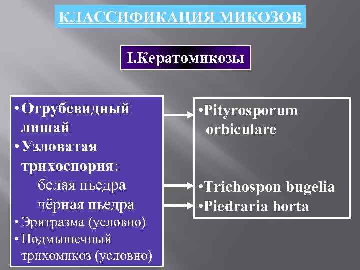   КЛАССИФИКАЦИЯ МИКОЗОВ    I. Кератомикозы  • Отрубевидный  •