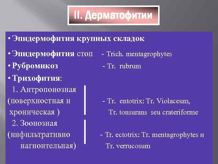    II. Дерматофитии • Эпидермофития крупных складок • Эпидермофития стоп -