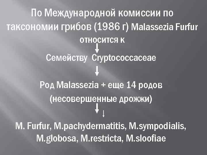  По Международной комиссии по таксономии грибов (1986 г) Malassezia Furfur   
