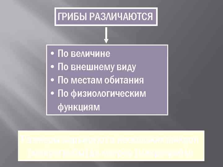   ГРИБЫ РАЗЛИЧАЮТСЯ   • По величине  • По внешнему виду