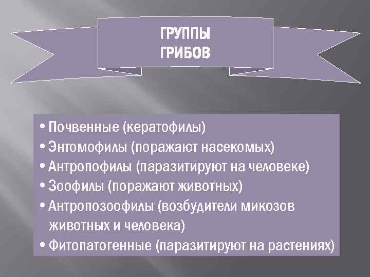    ГРУППЫ   ГРИБОВ • Почвенные (кератофилы) • Энтомофилы (поражают насекомых)