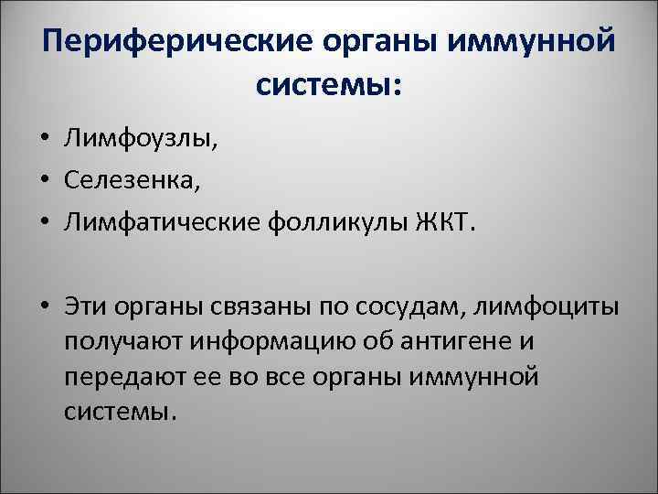 Периферические органы иммунной системы: • Лимфоузлы, • Селезенка, • Лимфатические Периферические органы иммунной системы: • Лимфоузлы, • Селезенка, • Лимфатические