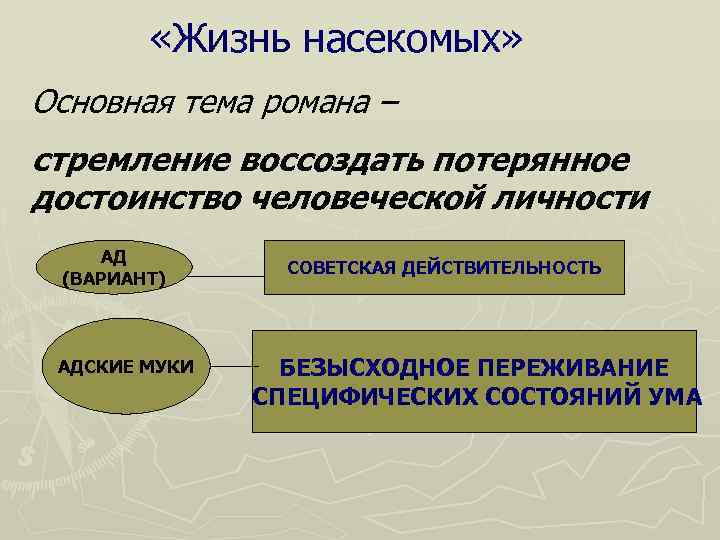   «Жизнь насекомых» Основная тема романа – стремление воссоздать потерянное достоинство человеческой