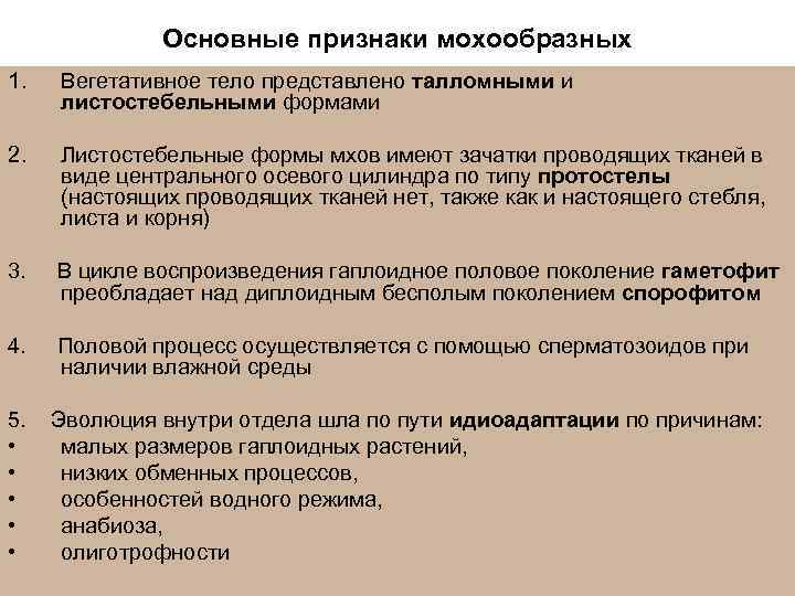    Основные признаки мохообразных 1.  Вегетативное тело представлено талломными и листостебельными