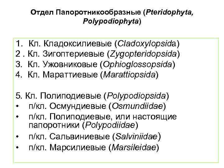   Отдел Папоротникообразные (Pteridophyta,   Polypodiophyta)  1. Кладоксилиевые (Cladoxylopsida) 2. Кл.