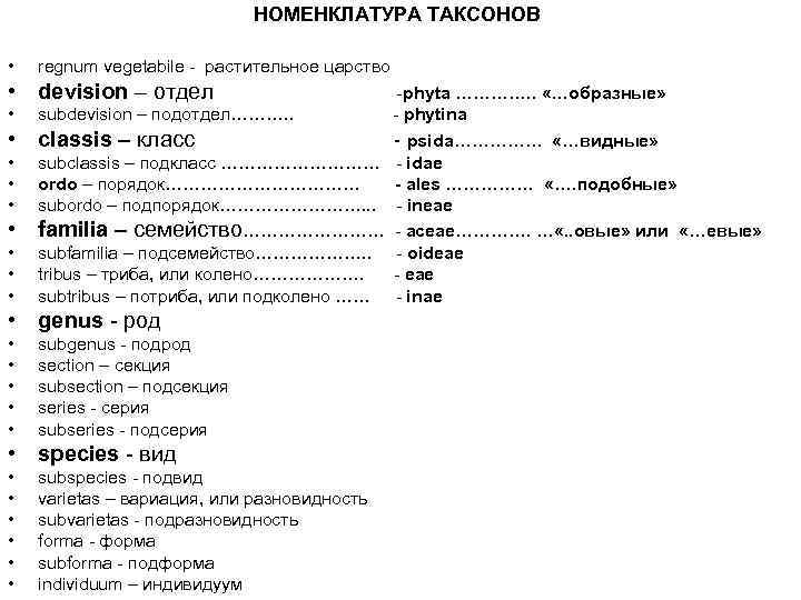      НОМЕНКЛАТУРА ТАКСОНОВ  •  regnum vegetabile - растительное