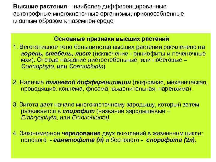 Высшие растения – наиболее дифференцированные автотрофные многоклеточные организмы, приспособленные главным образом к наземной среде
