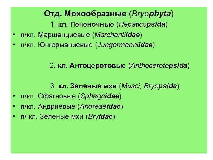    Отд. Мохообразные (Bryophyta)  1. кл. Печеночные (Hepaticopsida) • п/кл. Маршанциевые