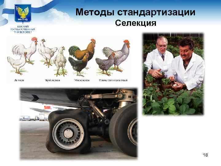 Методы стандартизации  Селекция     18 